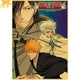 Poster Diamond Dust Rebellion - Bleach™